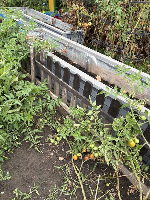 Płotek ogrodowy drewniany wysokość 40 cm