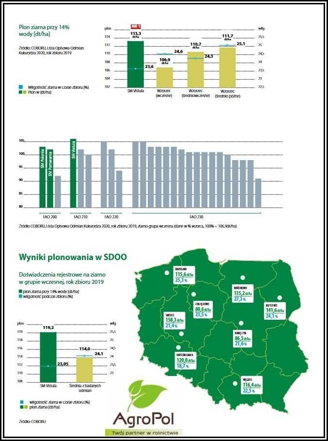 KUKURYDZA SM VISTULA - Najwyższy Plon Wczesne Ziarno Nasiona Smolice