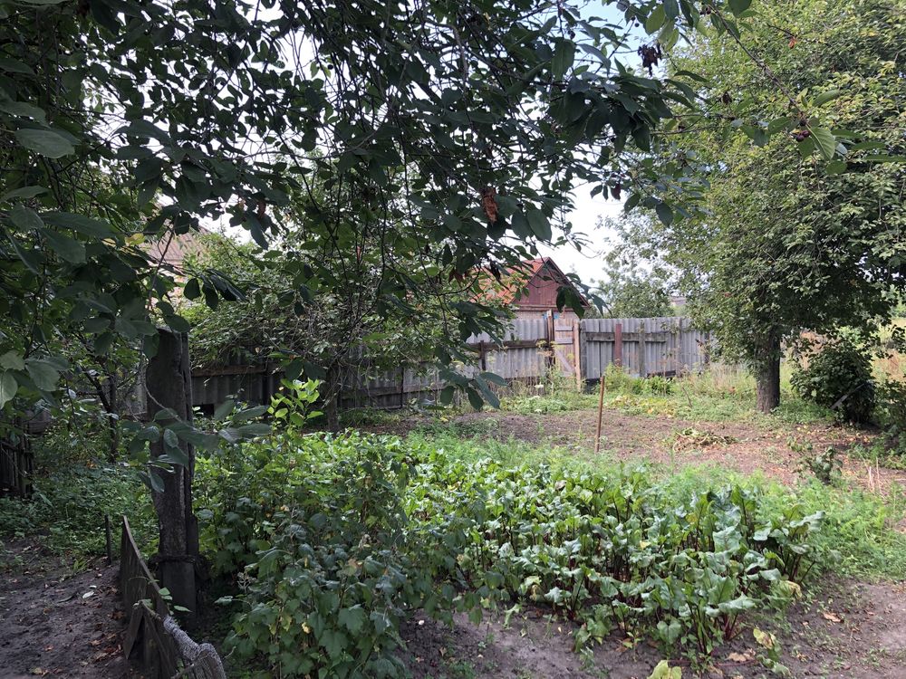 Продається будинок у смт Ворожба