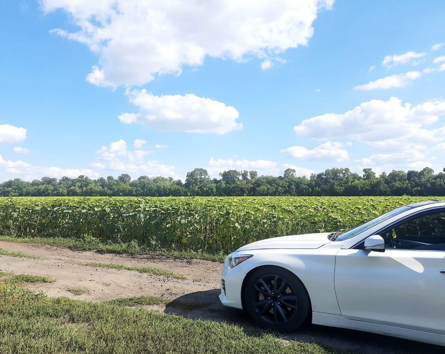 Infiniti Q50 3.7 2015