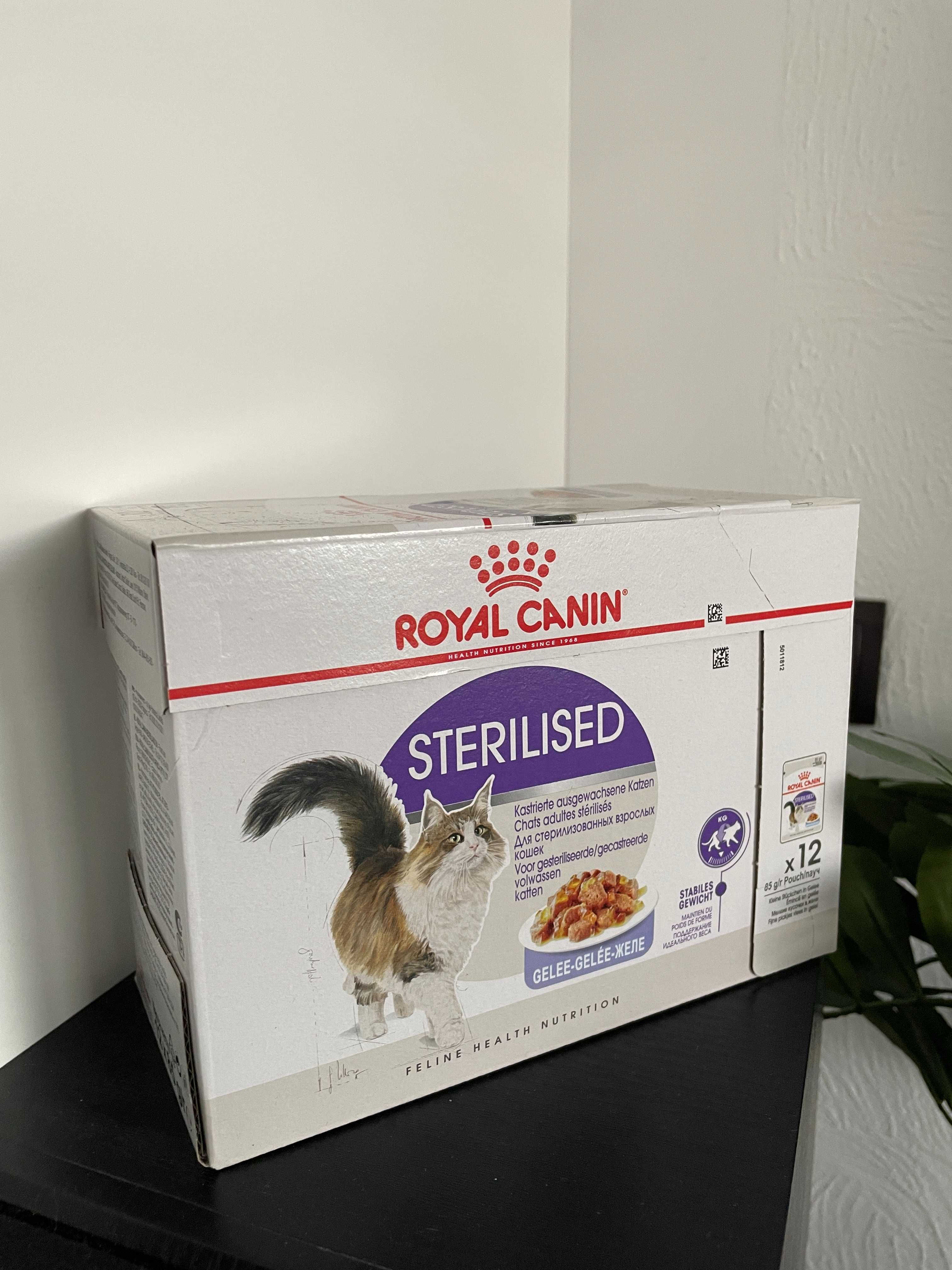 Karma dla kota Royal Canin Sterilised w galarecie 12 szt.