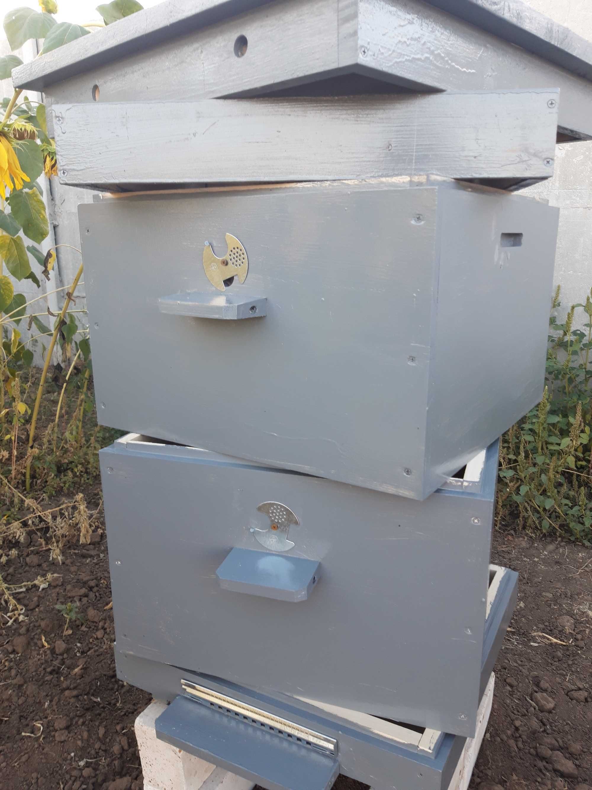 Улики с пчёлами на рамке дадан