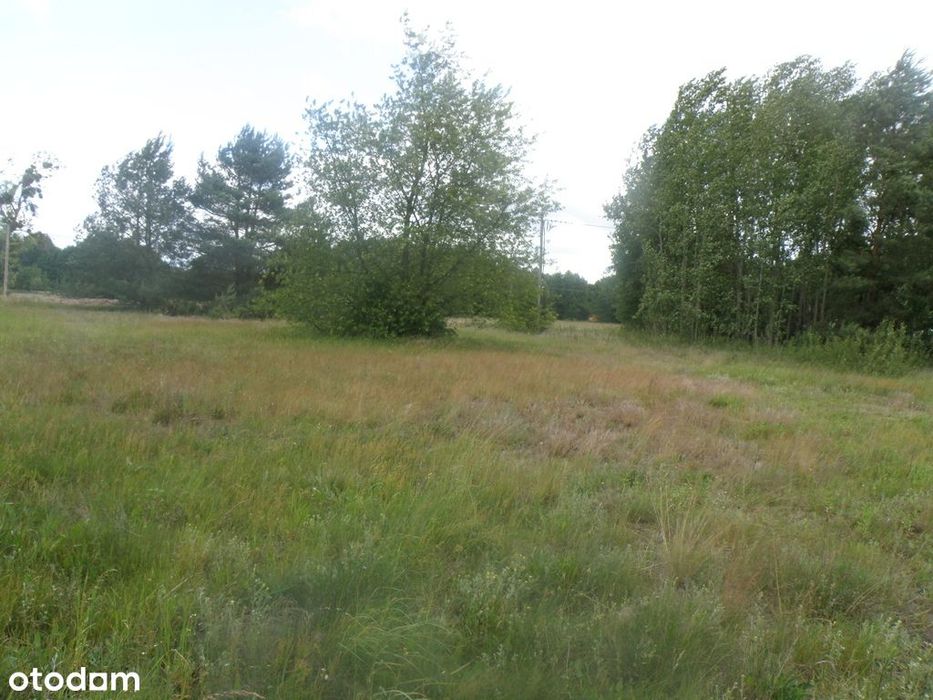 Działka 121/27 w Czarnym Błocie z WZ