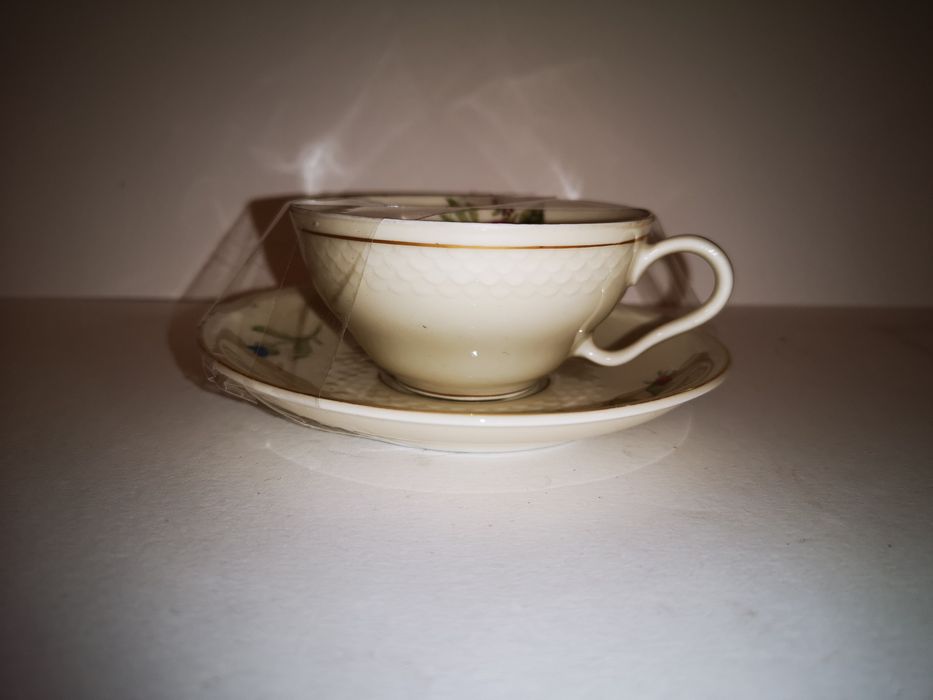 Porcelanowa filiżanka W. J. Schmidt Decor