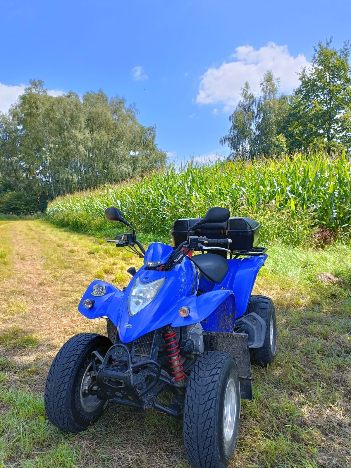 Quad KYMCO KXR 250