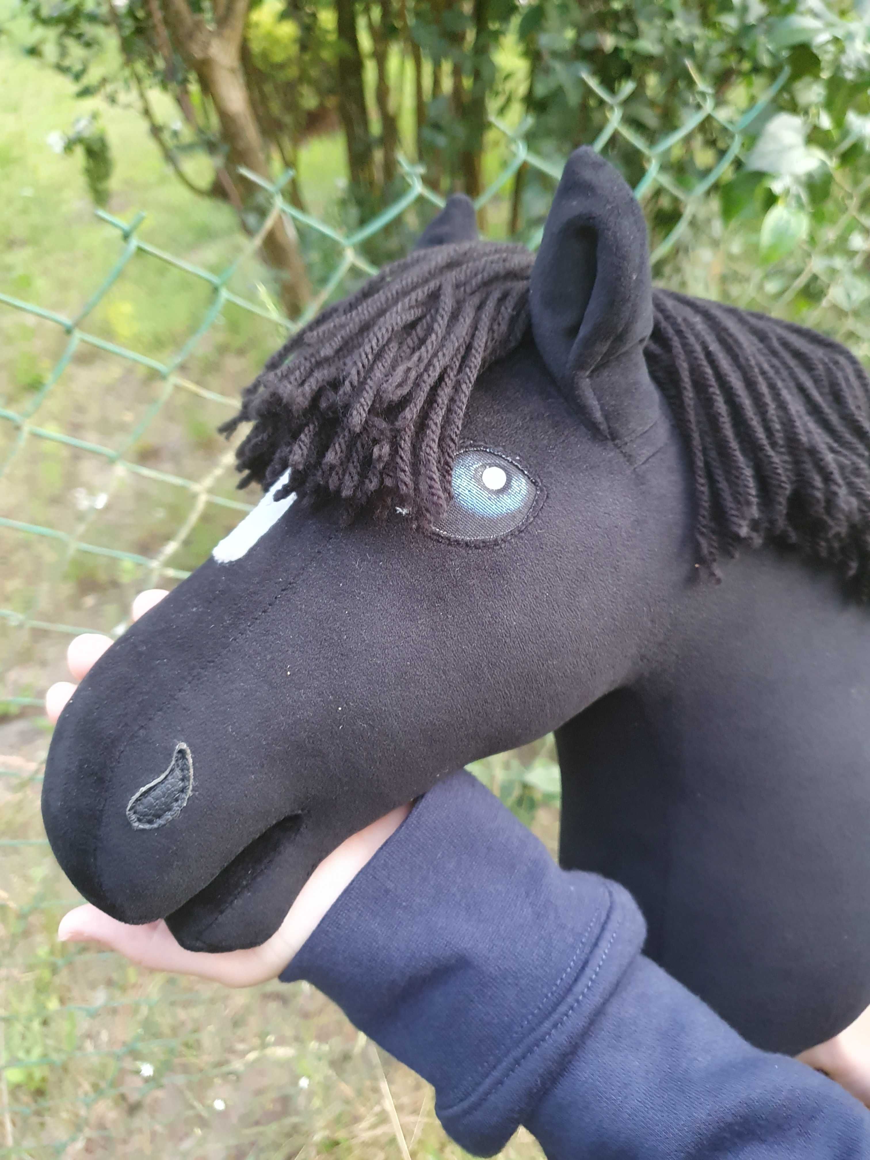Nowy hobby horse