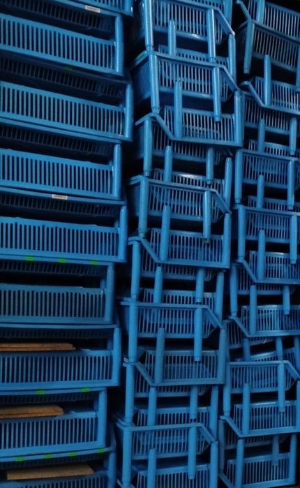 Caixas de armazenamento organizadoras