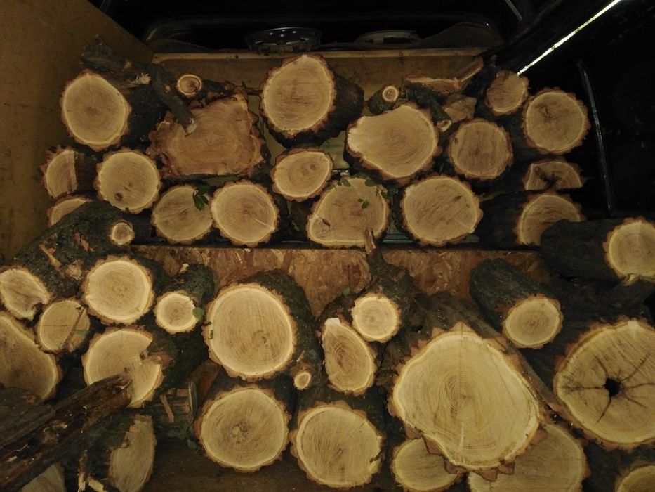 Дрова твёрдые и мягкие сорта.