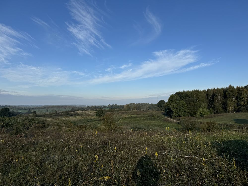 Na sprzedaż: 25,49 ha gruntów rolnych w gminie Godkowo
