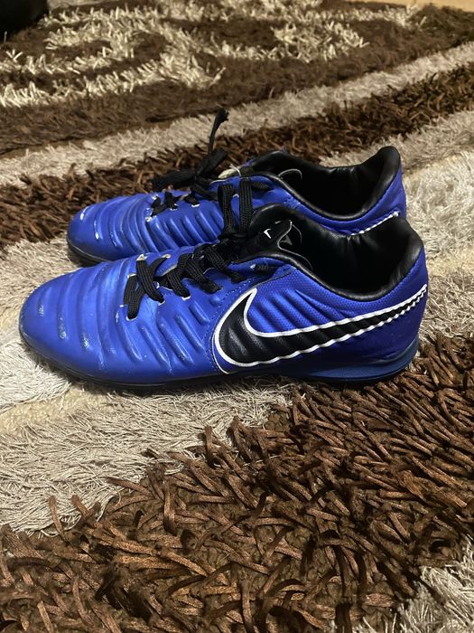 Сороконіжки олх