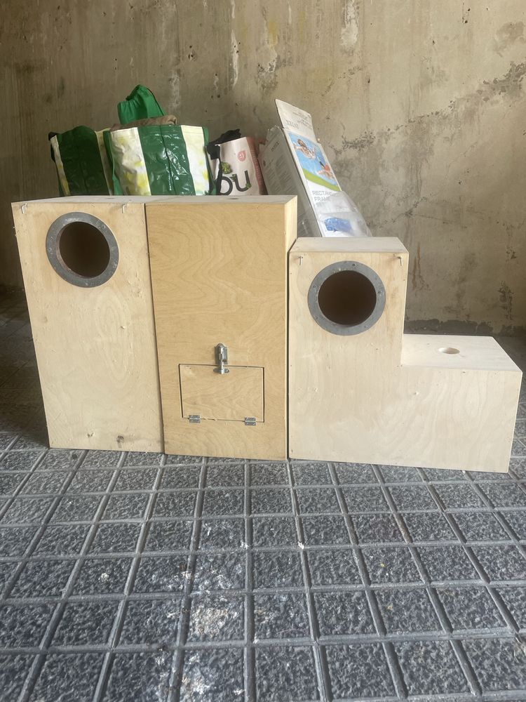 Ninhos de Papagaios