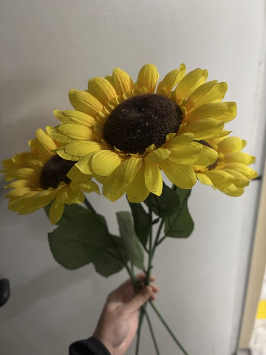 3 Malmequeres artificiais