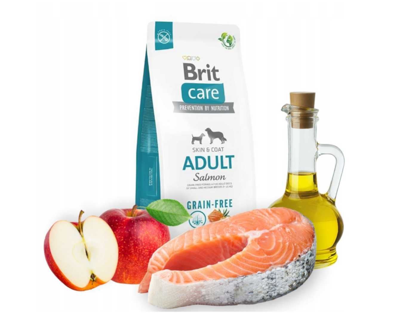 Brit Care Dog Grain-free Adult Salmon 12 kg *OKAZJA*