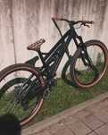 Dartmoor blackbird ( custom )