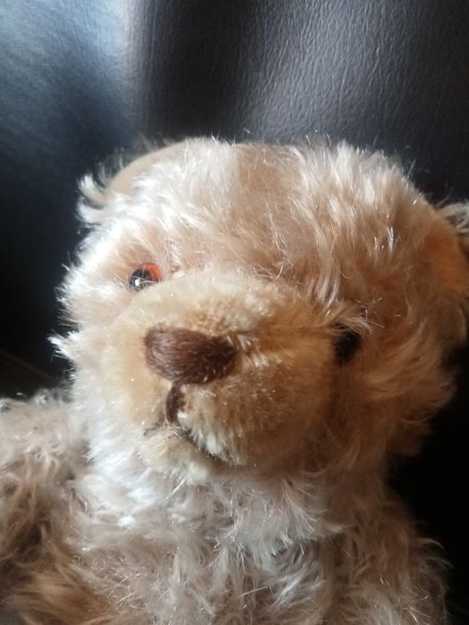 Miś Steiff trociniak twardy , z maszynka do mruczenia sprawna XXw 30cm