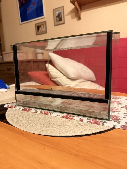 Terrarium 20+30+20 + pęseta gratis