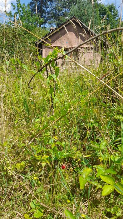 Дача в Дережичах 6сотих