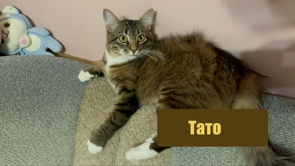 Бетмен та Деймон шукают родину