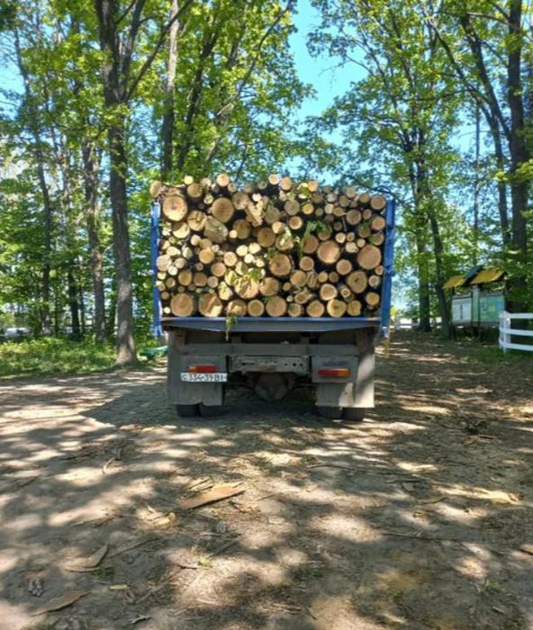 Дрова. Безкоштовна доставка. Мінімальні ціни. Вільха, граб,  5-10 ск.м