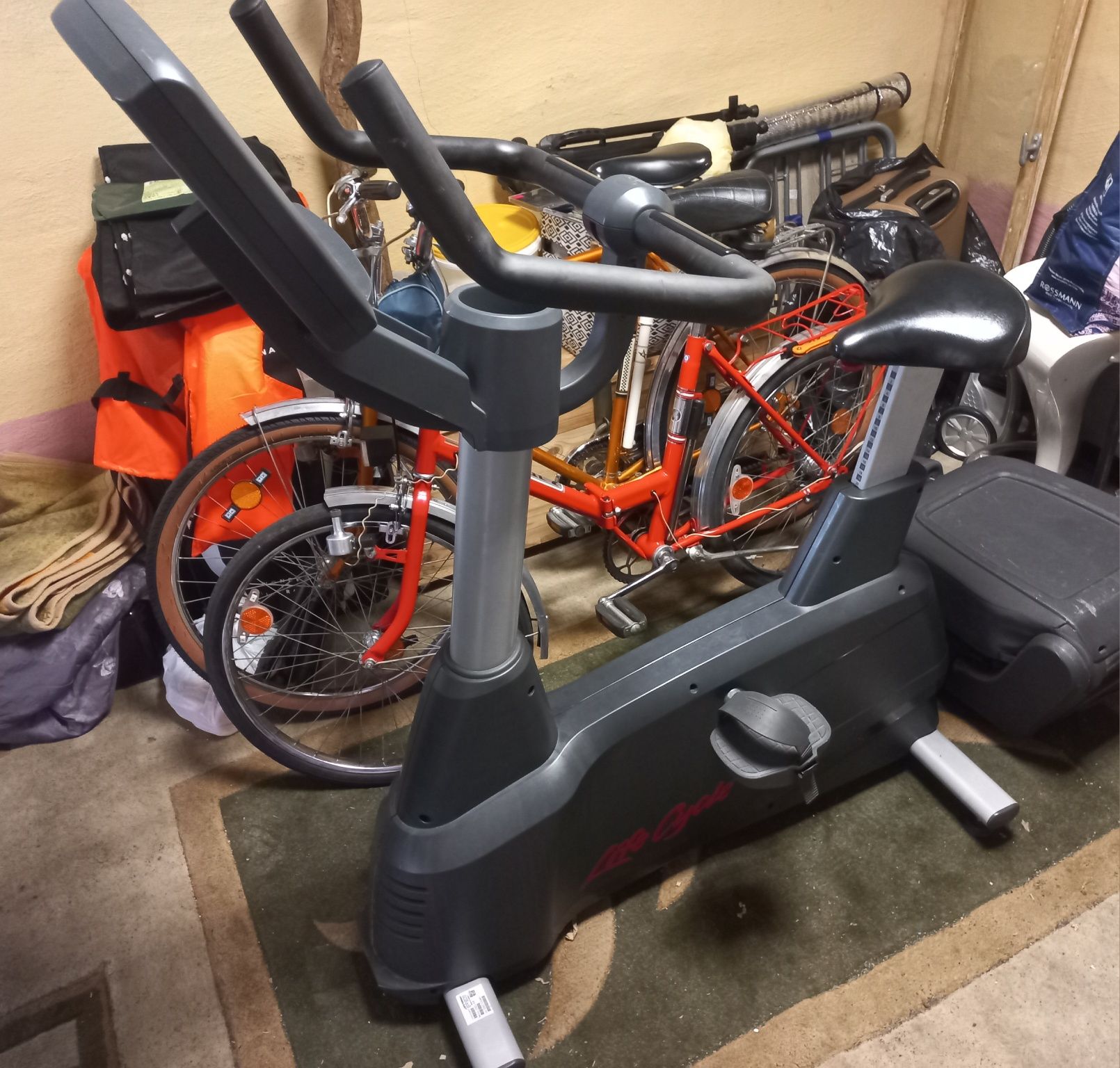 Rower pionowy Life Fitness technogym