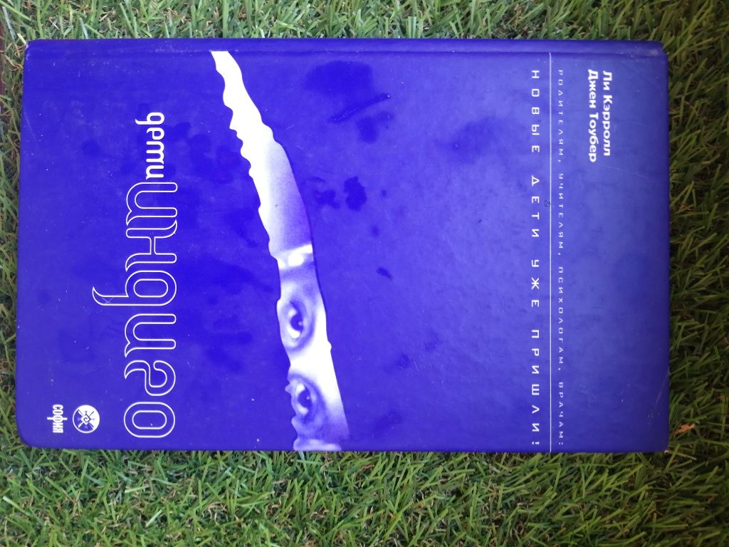 Книга дети Индиго