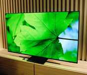 Telewizor OLED 55 cali Samsung QE55S95B