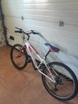 Bicicleta roda 24