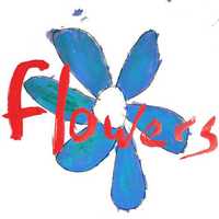 FLOWERS cd Do What You Want To..      indie rock folia