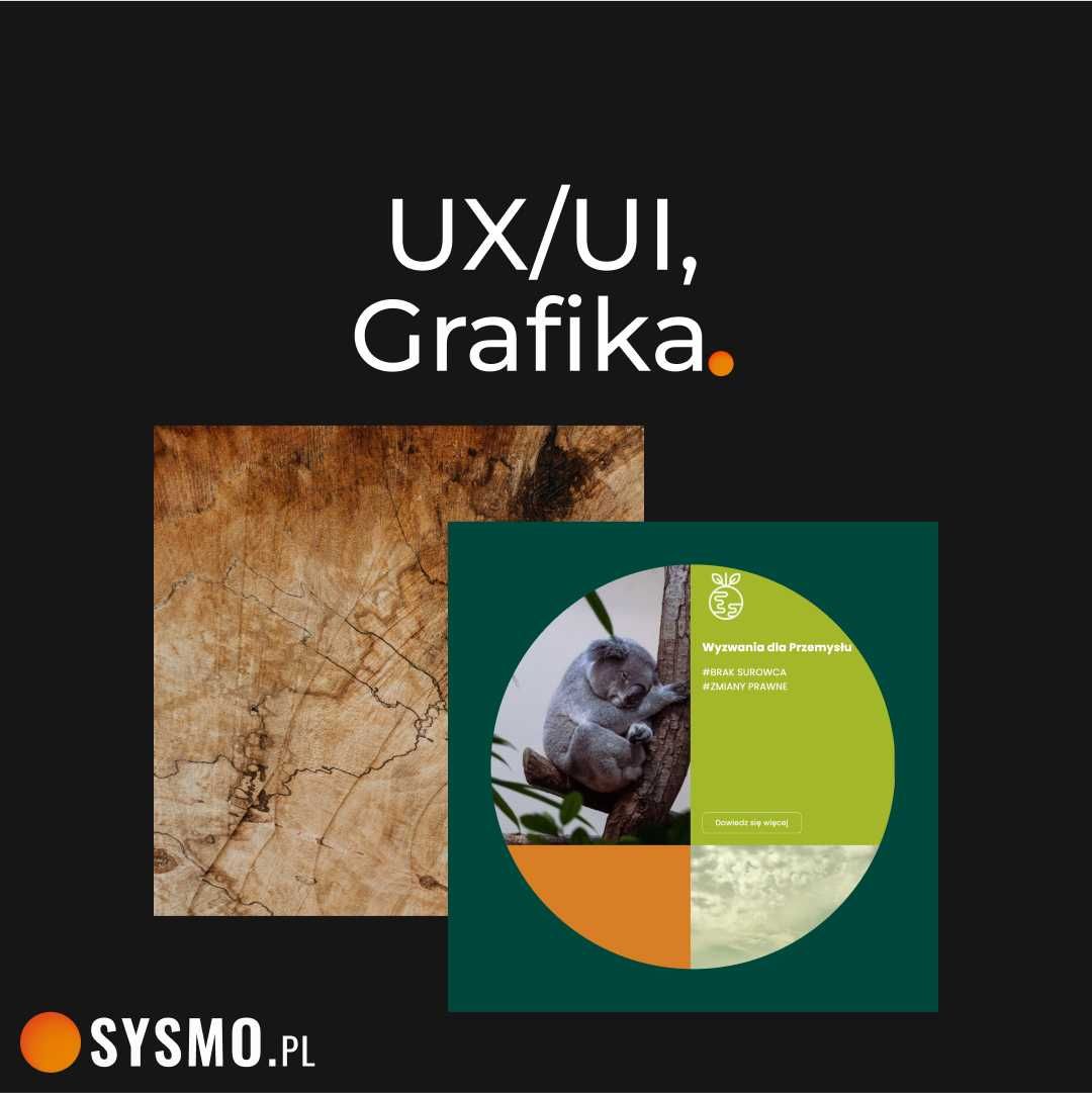Programy dla firm | aplikacje mobilne | strony WWW | software house