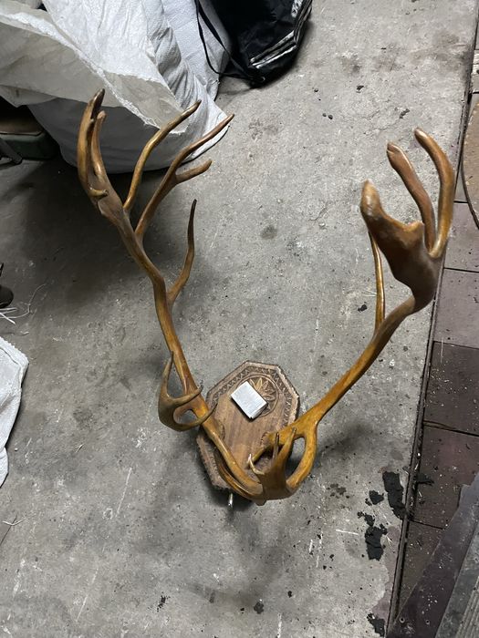 Продам рога, Запарожжье