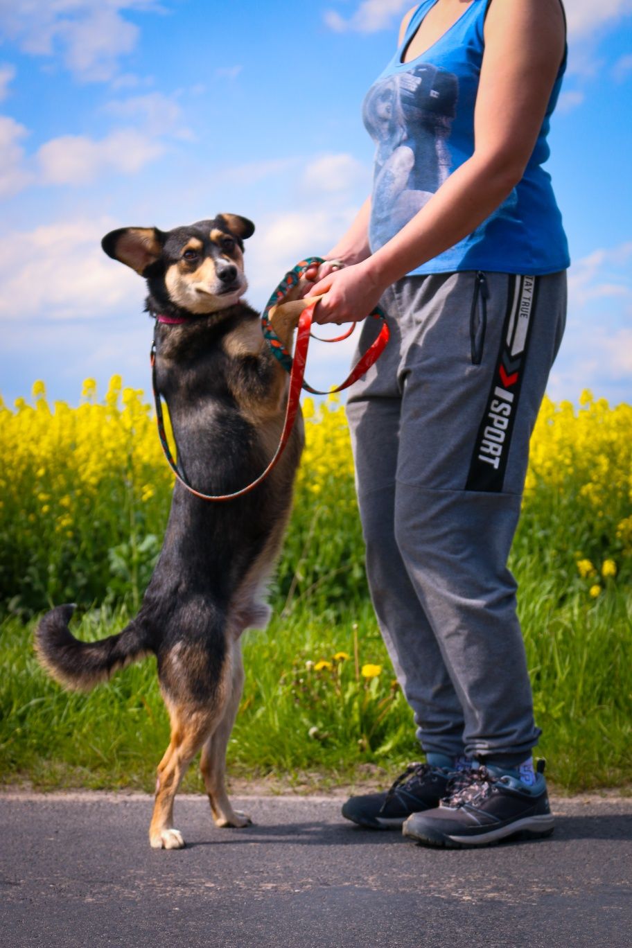 Laki nadal szuka domu