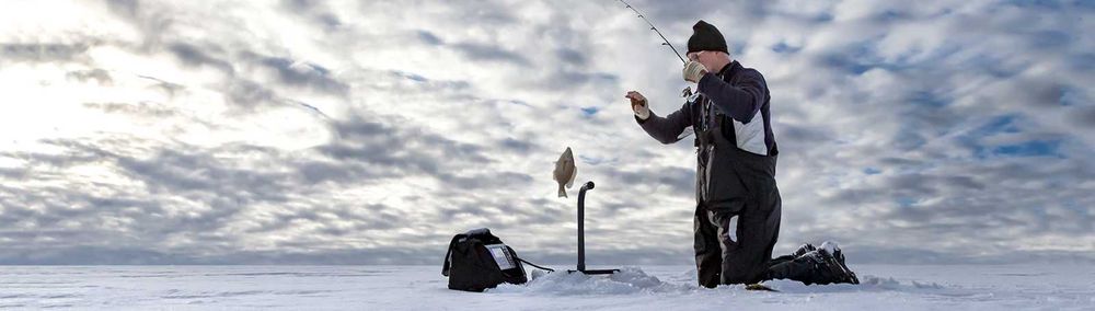 Ехолот Garmin Panoptix з ECHOMAP Plus 73cv (010-01893-21)