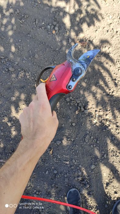 Секатор аккумуляторный  профессиональный HDP 36-1