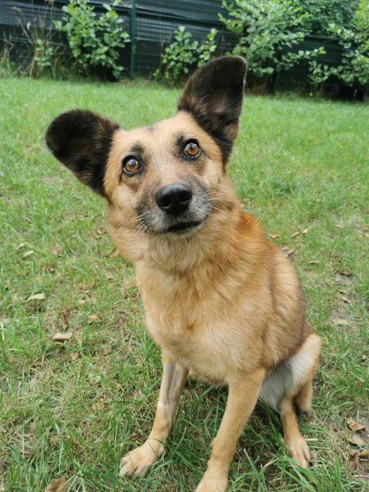 Donna czeka na dom...