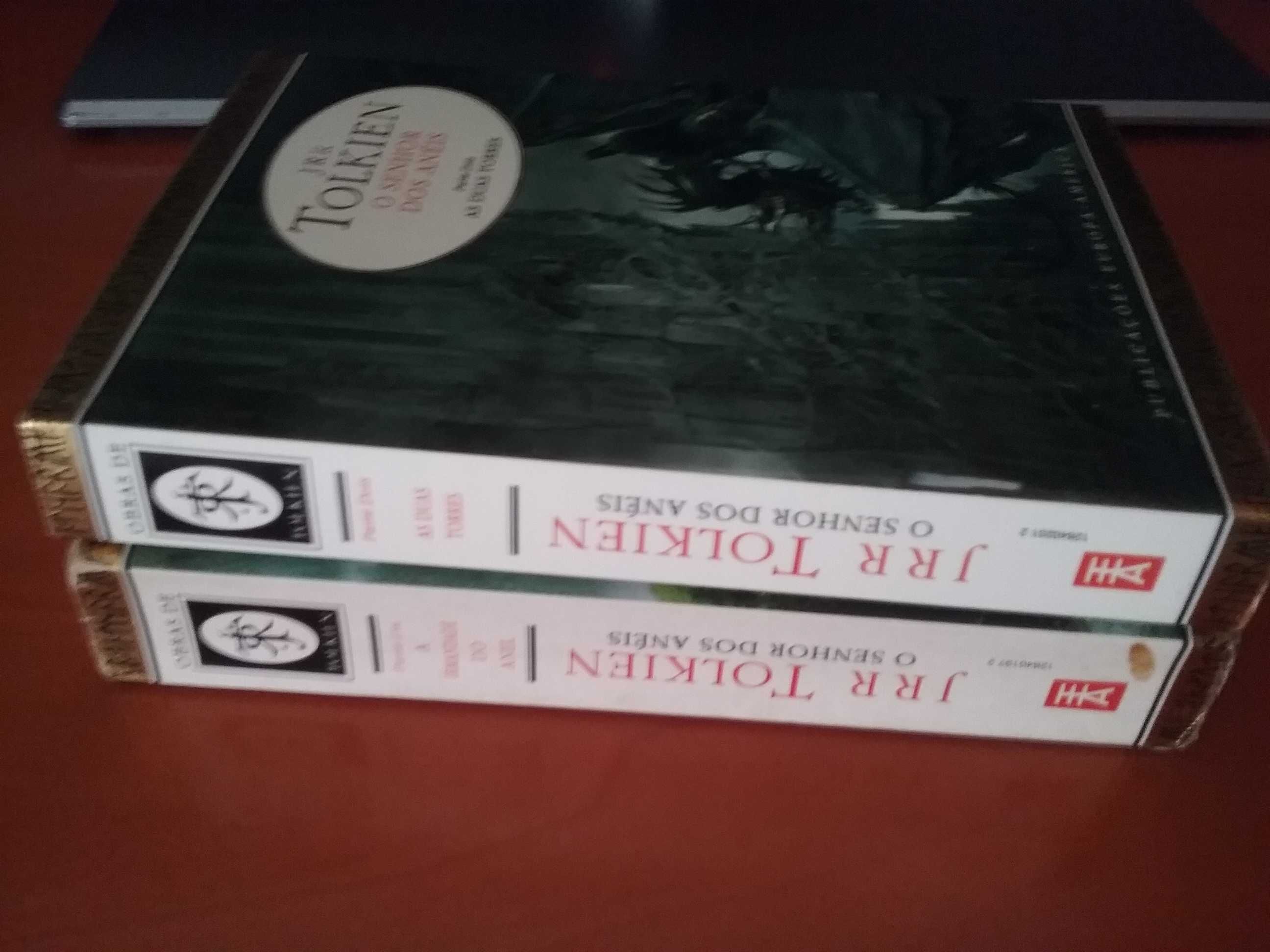 Senhor dos Anéis 1 a irmandade do anel Tolkien