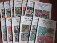 Журнали по рослинництву (Присадибне господарство)