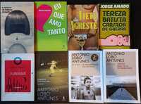 21 livros da literatura nacional e brasileira. Lote - 210€