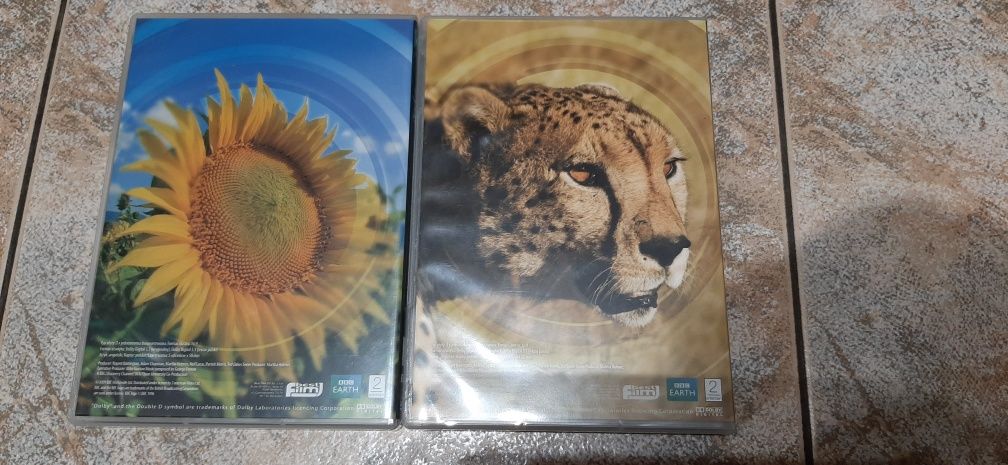 Zestaw 4 dvd BBC EARTH Życie Life