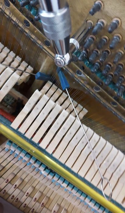 Налаштування фортепіано Чернігівська область