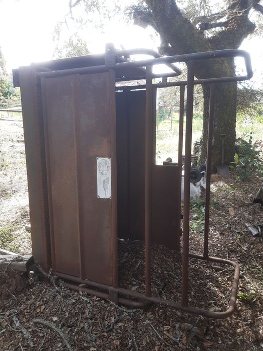 Balança de pesagem de animais