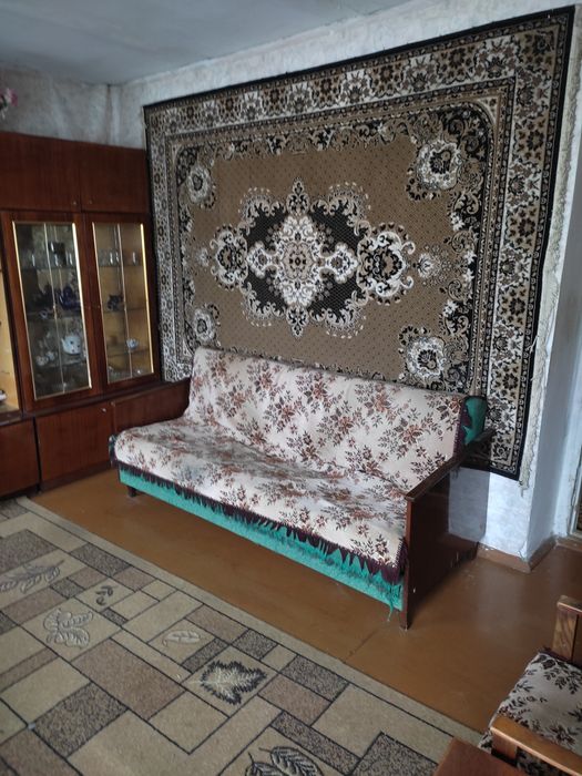 Продам дом в с.Палиево,