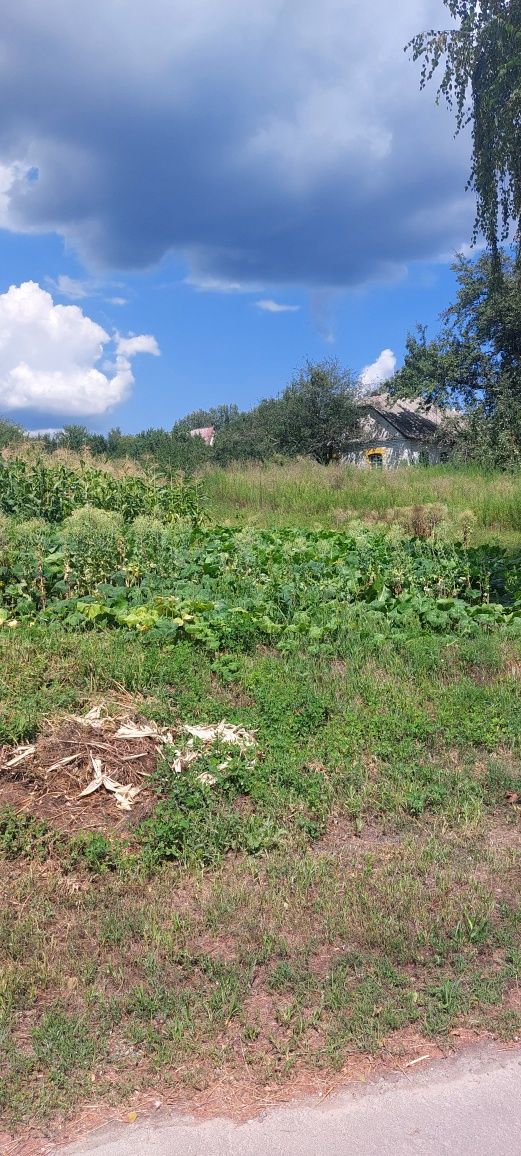 Терміновий продаж ділянок 63 сот., с.Дерев'яна