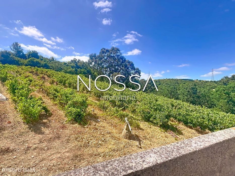 Quinta da Caldeira | Arruda dos Vinhos | vinha (DOC)