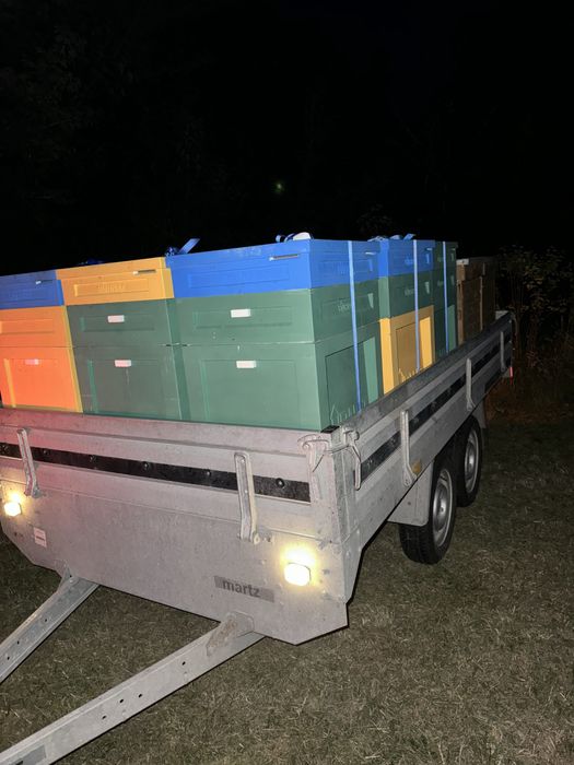 Ule styropianowe Burnat Warszawskie poszerzane