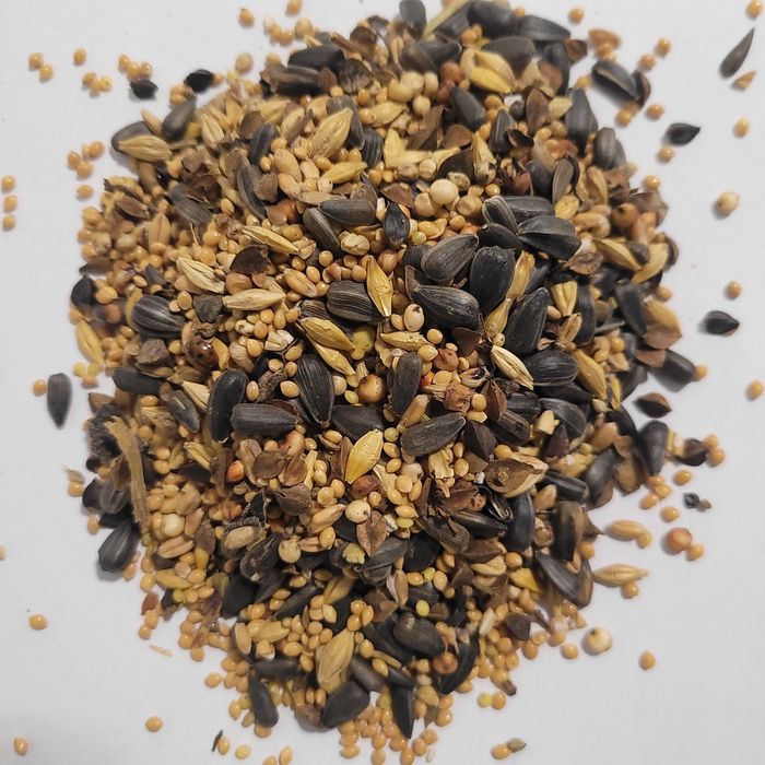 Słonecznik proso Sorgo 25kg mieszanka dla dzikich ptaków