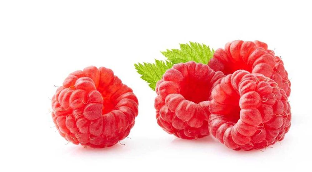 Sprzedam maliny z przydomowego ogródka