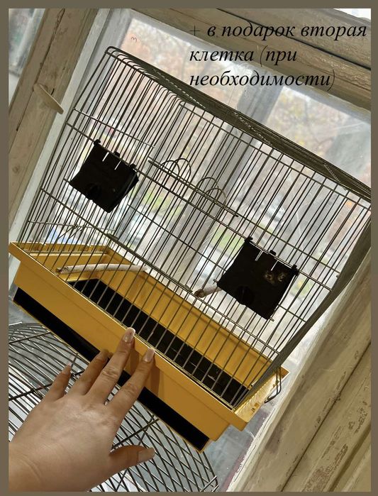 Продам клетку для Конора!!! Срочно!!!