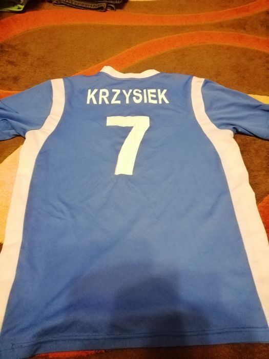 Koszulka  t-shirt, polo męska L
