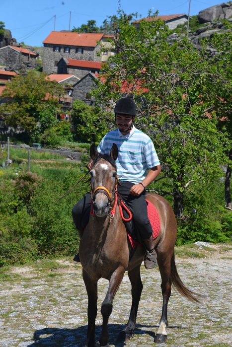 Cavalo 4 anos bom para crianças