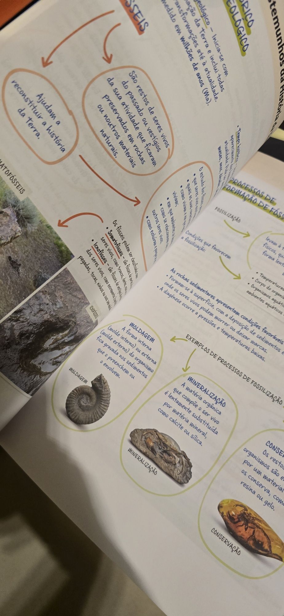 100% CN 8⁰ Ano - Dossier de Professor + Caderno de Atividades